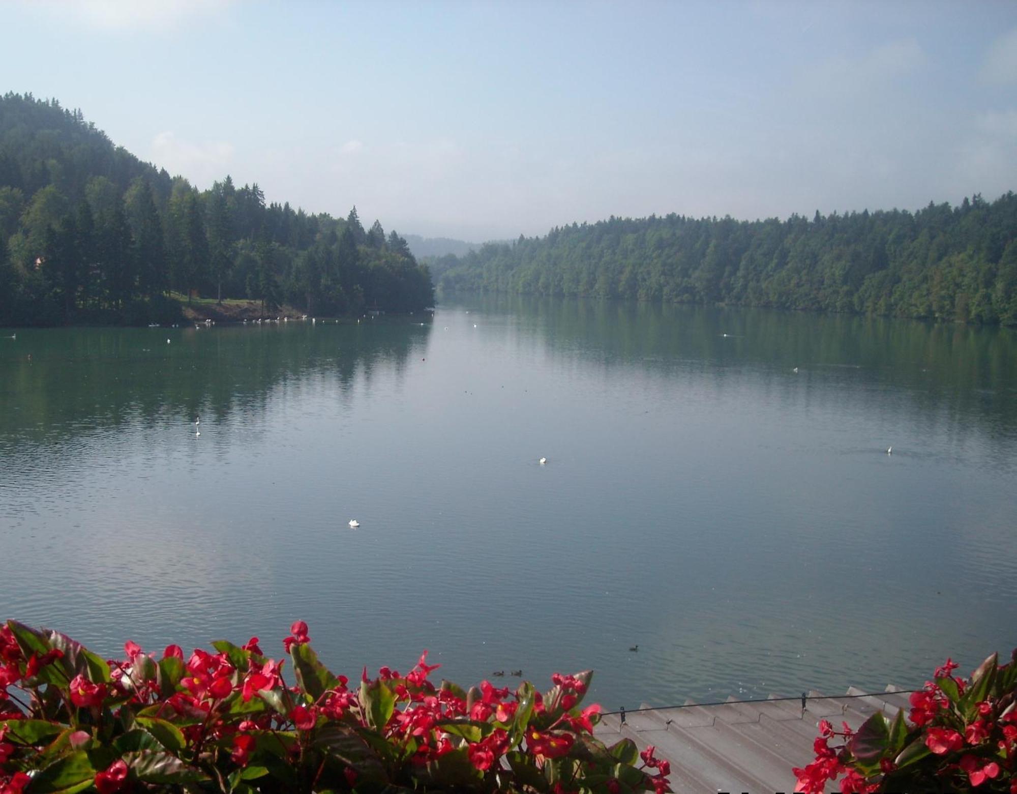 Bed and Breakfast Gostisce Jezero Медводе Экстерьер фото